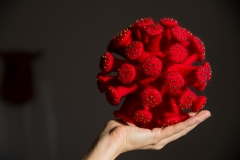 koronavirus