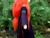 elf-4